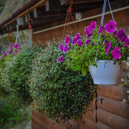 Premium Otel Jajce